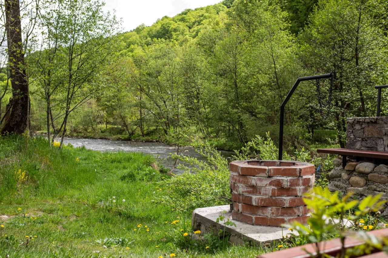 Cabana Iubu Villa Valea Drăganului Exterior foto